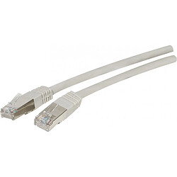 DEXLAN Cordon RJ45 catégorie 6A S/FTP gris - 1 m