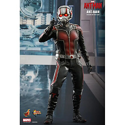 Acheter Hot Toys MMS308 - Marvel Comics - Ant-Man - Ant-Man