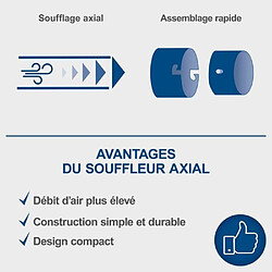 Avis Souffleur de feuilles sans fil SCHEPPACH C-BL700-X 20V IXES - 2 vitesses - sans batterie ni chargeur