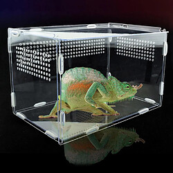 Avis Universal Verre acrylique transparent reptile cellulaire fournitures pour animaux de compagnie pour animaux à sang froid reptiles animaux de compagnie insectes décoration de la maison