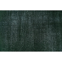 Vidal Tapis de laine 274x160 vert Ultra Vintage