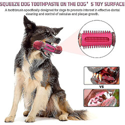 Jouet Pour Chien Pour Mâcheurs Agressifs, Jouet Pour Chien Robuste, Os De Chien En Nylon Et Caoutchouc, Spécialement Conçu Pour Le Nettoyage Des Dents De Chien