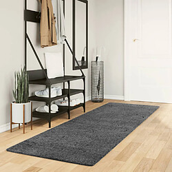 vidaXL Tapis OVIEDO à poils courts anthracite 80x250 cm