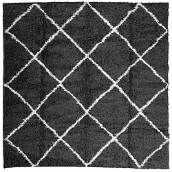 vidaXL Tapis shaggy à poils longs moderne noir et crème 240x240 cm