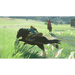 Avis Nintendo The Legend of Zelda: Breath of the Wild, Switch jeu vidéo Basique Nintendo Switch (THE LEGEND OF ZELDA BREATH OF THE WILD)