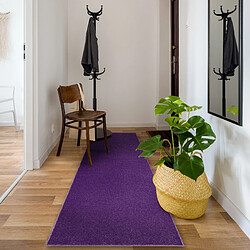 Acheter RUGSX TAPIS DE COULOIR ETON 114 violet 120x430 cm