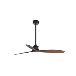 faro Ventilateur de plafond noir/bois Eter