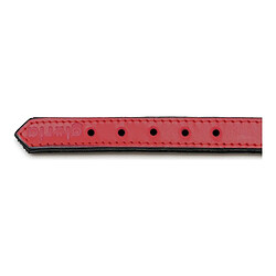 Collier pour Chien Gloria Rembourré Rouge (45 x 2 cm) pas cher