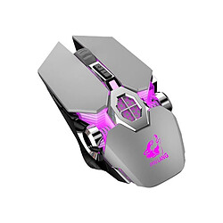 Yonis Souris Gaming Sans Fil 2400 DPI Silencieuse Lumineuse