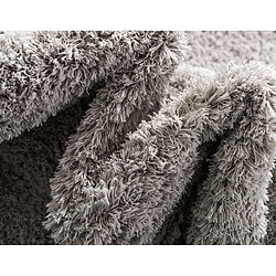 Acheter Hadorn Tapis shaggy 125x125 gris argenté Luzern