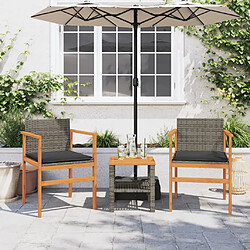 Avis Maison Chic Lot de 2 Chaises de jardin coussins | chaises Relax gris résine tressée et bois -GKD54893