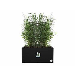 Jardinière rectangle en plastique 60 x 30 cm Elho Vivo - noir