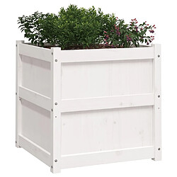 Acheter Maison Chic Jardinière,Bac à fleurs - pot de fleur d'extérieur blanc 60x60x60 cm bois de pin massif -GKD70366