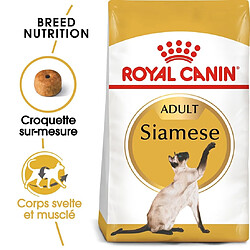 Royal Canin Race Siamois Adult