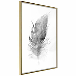 Paris Prix Affiche Murale Encadrée Lost Feather Grey 20 x 30 cm Or