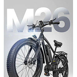 Avis Vélo électrique CMACEWHEEL M26 26 * 4,0 pouces CST gros pneu 750W moteur - Gris