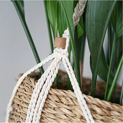 Avis Lot de 2 PORTES PLANTES Cache-pot Macrame Suspension pour plantes en macramé Casame Panier Suspension Macramé avec porte plantes en Algue marine- D25 H120cm+Natural Living