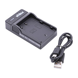 vhbw chargeur Micro USB avec câble pour caméra batterie Panasonic DMW-BLF19, DMW-BLF19E