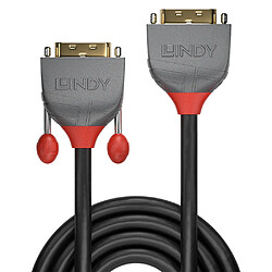 Lindy 36232 câble DVI 2 m DVI-D DVI-I Noir