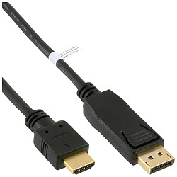 Alpexe Câble convertisseur InLine® DisplayPort vers HDMI noir 3m