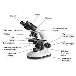 Kern sohn Kern - Set de microscope numérique OBE-S, trinoculaire 4x/10x/40x avec caméra ODC 825 et USB 2.0 - OBE 104C825