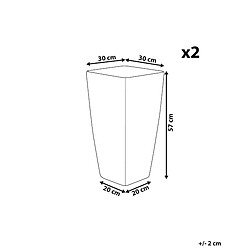 Avis Beliani Lot de 2 pots de fleurs dorés 30 x 30 x 57 cm MODI
