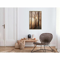 Paris Prix Affiche Murale Encadrée Morning in the Forest 40 x 60 cm Or