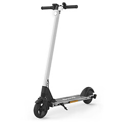 Avis Denver SEL-65230WHITE Trottinette Electrique 6.5'' 300W Aluminium 2 Roues Blanc