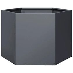 vidaXL Jardinière anthracite hexagone 69x60x45 cm acier