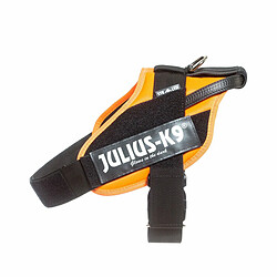 Avis Harnais pour Chien Julius K9 IDC Orange L/XL 2 71-96 cm