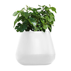 Avis ELHO Pot de fleur goutte en polyéthylène Pure - Blanc - 45cm