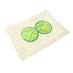 Avis motif de fruits imprimé coussin rembourré coussin couverture lime