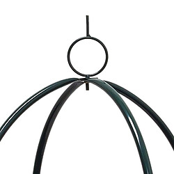 Helloshop26 Arc tuteur pour rosiers plante grimpante jardin vert foncé 188 cm 2213003