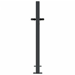 Acheter VIDAXL Portail de jardin - Anthracite