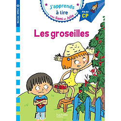 Les groseilles : niveau 3 - Occasion