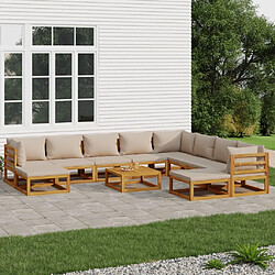 Maison Chic Salon de jardin 11pcs + coussins - Mobilier/Meubles de jardin - Table et chaises d'extérieur taupe bois massif -MN78990