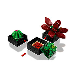 Avis LEGO Icons: Succulents - 10309