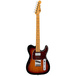 Avis Tribute ASAT Classic Bluesboy Semi Hollow 3TS G&L