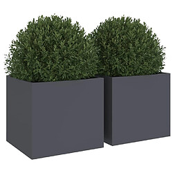 Avis vidaXL Jardinières 2 pcs anthracite 32x30x29 cm acier