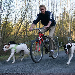 SPRINGER Kit d'exercice de vélo pour chiens pas cher