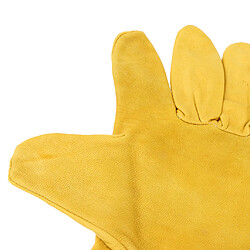 Acheter Gants d'apiculture