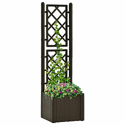 Maison Chic Jardinière,Lit surélevé de jardin - Bac à fleurs - pot de fleur et treillis et système d'arrosage Moka -GKD45055