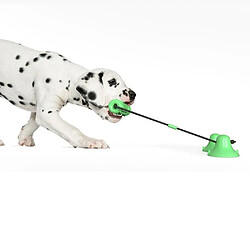 Acheter Justgreenbox Chien Molar Bite Chew Toy Corde Pull Interactive avec Ventouse pour Tirer le Nettoyage des Dents à Mâcher, Bleu