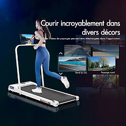 BLACK LORD Tapis de Course/Marche Électrique Maison Bureau Gym Fitness Pliable pas cher