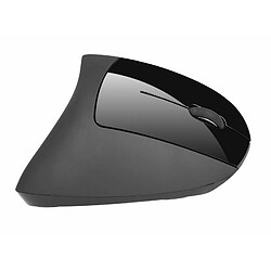 Tracer Flipper RF Sans fil + USB Optique 1600DPI Droitier Noir souris - Souris (Droitier, Optique, RF Sans fil + USB, 1600 DPI, Noir)