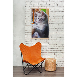 Panneau infrarouge chauffant TRIO Chat 100x57cm