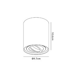 Inspired Projecteur cylindrique réglable monté en surface, 1 lumière GU10, noir sable