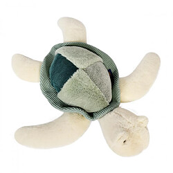 Histoire d'Ours Peluche - Tortue de mer verte