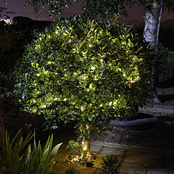 Smart Garden Guirlande solaire Luciole 100 leds.