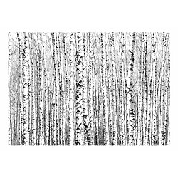 Artgeist Papier peint - Birch forest [147x105]